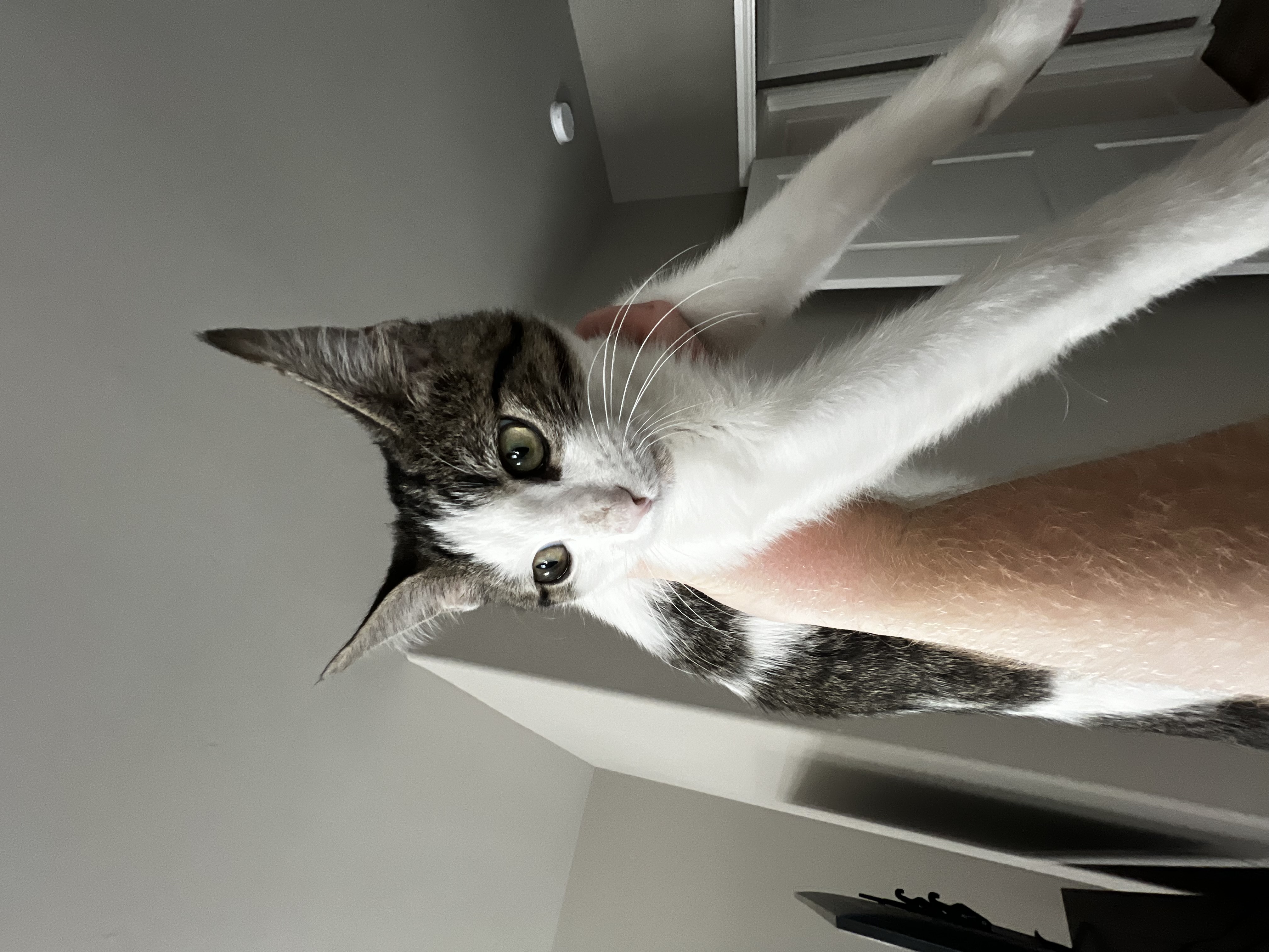 Charlie